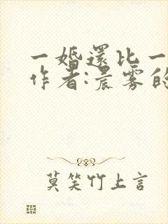 一婚还比一婚高作者:晨雾的光