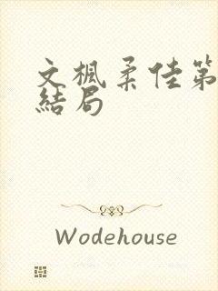 文枫柔佳第一章结局