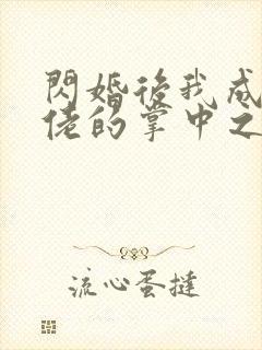 闪婚后我成了大佬的掌中之物52