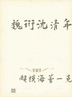 魏珩沈清年小说