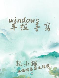 windows平板 手写