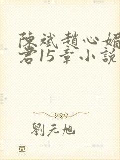 陈斌赵心媚高婉君15章小说
