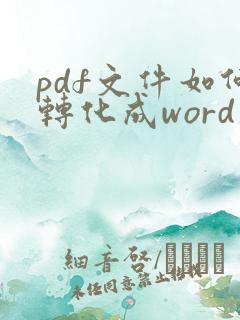 pdf文件如何转化成word文档