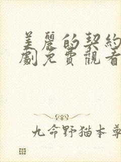 美丽的契约电视剧免费观看全集