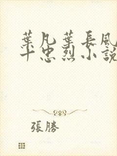 叶凡叶长风一门十忠烈小说名字