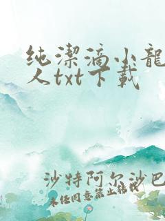 纯洁滴小龙捞尸人txt下载