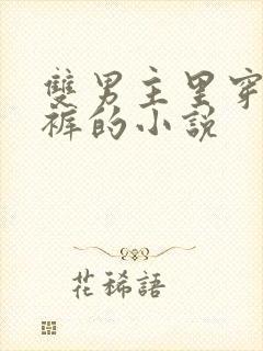 双男主里穿纸尿裤的小说