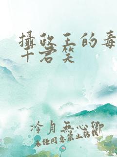 摄政王的毒妃 千君笑