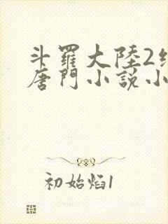 斗罗大陆2绝世唐门小说小说