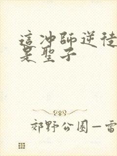 这冲师逆徒才不是圣子