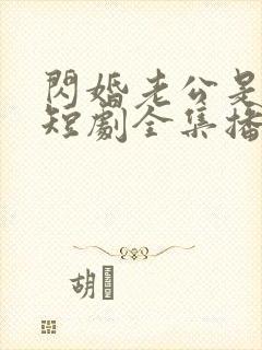 闪婚老公是豪门短剧全集播放