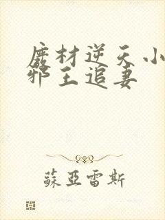 废材逆天小姐之邪王追妻