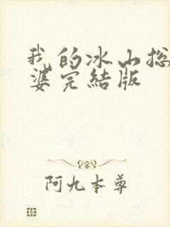 我的冰山总裁老婆完结版