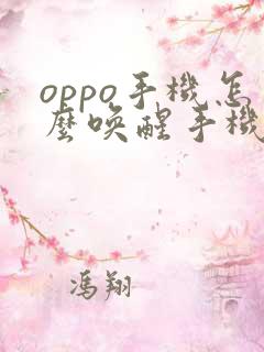 oppo手机怎么唤醒手机助手