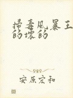 扫毒风暴王辉好的坏的