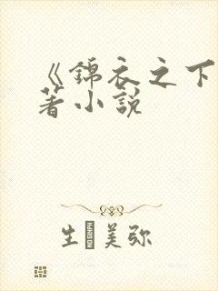 《锦衣之下》原著小说