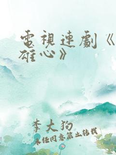 电视连剧《虎胆雄心》