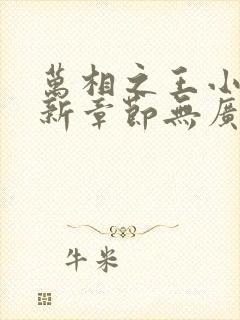 万相之王小说最新章节无广告