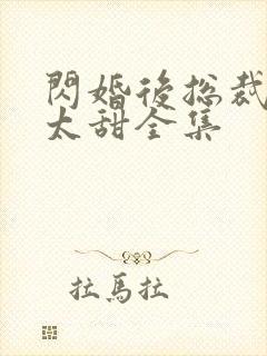 闪婚后总裁娇妻太甜全集