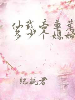 仙武帝尊叶辰有多少个媳妇