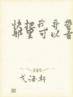 快把我哥带走在那里可以看