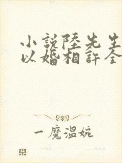 小说陆先生偏要以婚相许全文