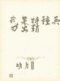 我是特种兵之利刃出鞘