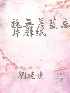 魏无羡蓝忘机图片壁纸