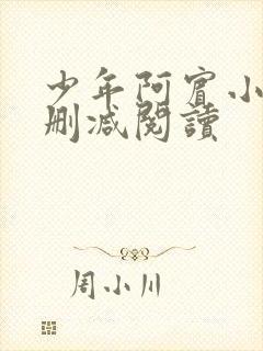 少年阿宾小说无删减阅读