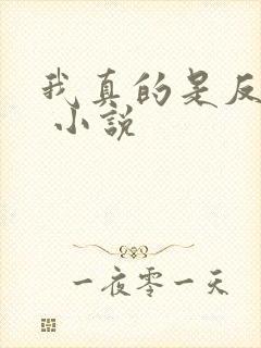 我真的是反派啊 小说