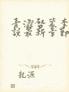 青涩启蒙李月小说最新章节