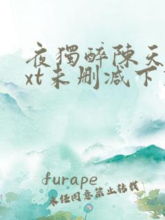 夜独醉陈天明txt未删减下载