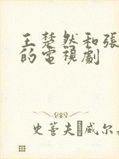 王楚然和张凌赫的电视剧