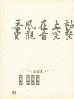 吾凰在上动漫免费观看完整版