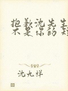 抱歉沈先生孩子不是你的 短剧