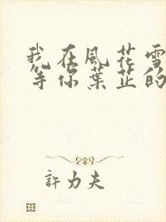 我在风花雪月里等你叶芷的孩子