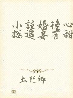 小说婚后心动凌总追妻有甜