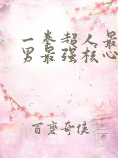 一拳超人最强之男最强核心