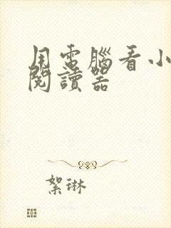用电脑看小说的阅读器