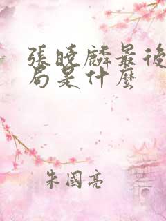 张晓麟最后的结局是什么