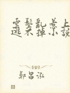 云鬓乱惹上权臣逃不掉小说全文