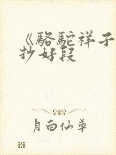 《骆驼祥子》摘抄好段