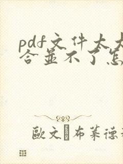 pdf文件太大合并不了怎么办