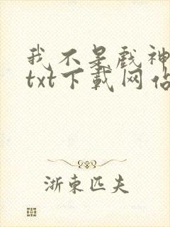 我不是戏神小说txt下载网站