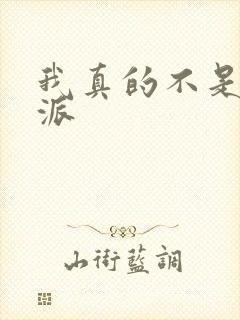 我真的不是大反派