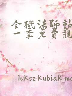 全职法师动漫第一季免费观看全集