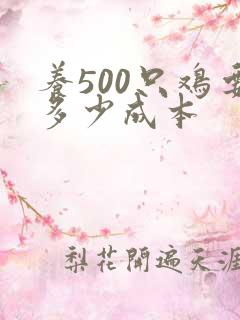 养500只鸡要多少成本