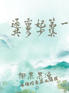 通灵妃第一季一共多少集