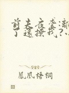 前夫夜袭:离婚了还撩我?小说阅读