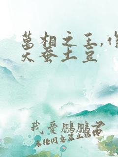 万相之王,作者天蚕土豆